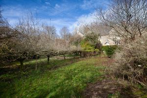 Garden- click for photo gallery